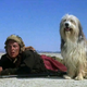 Illustration for article titled Top 11 Greatest Apocalyptic Comedies Of All Time